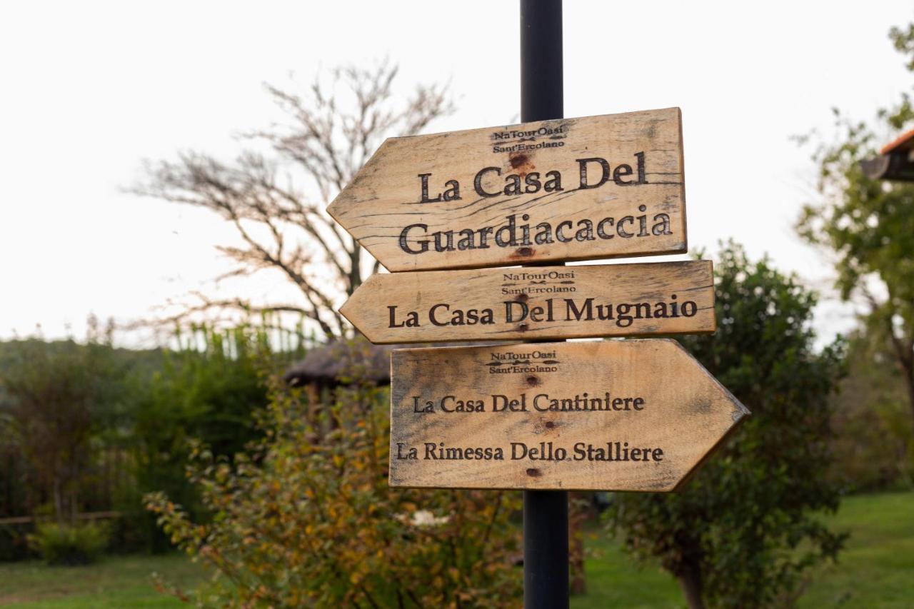 Natouroasi Agriturismo Pensionat Monte San Savino Exteriör bild